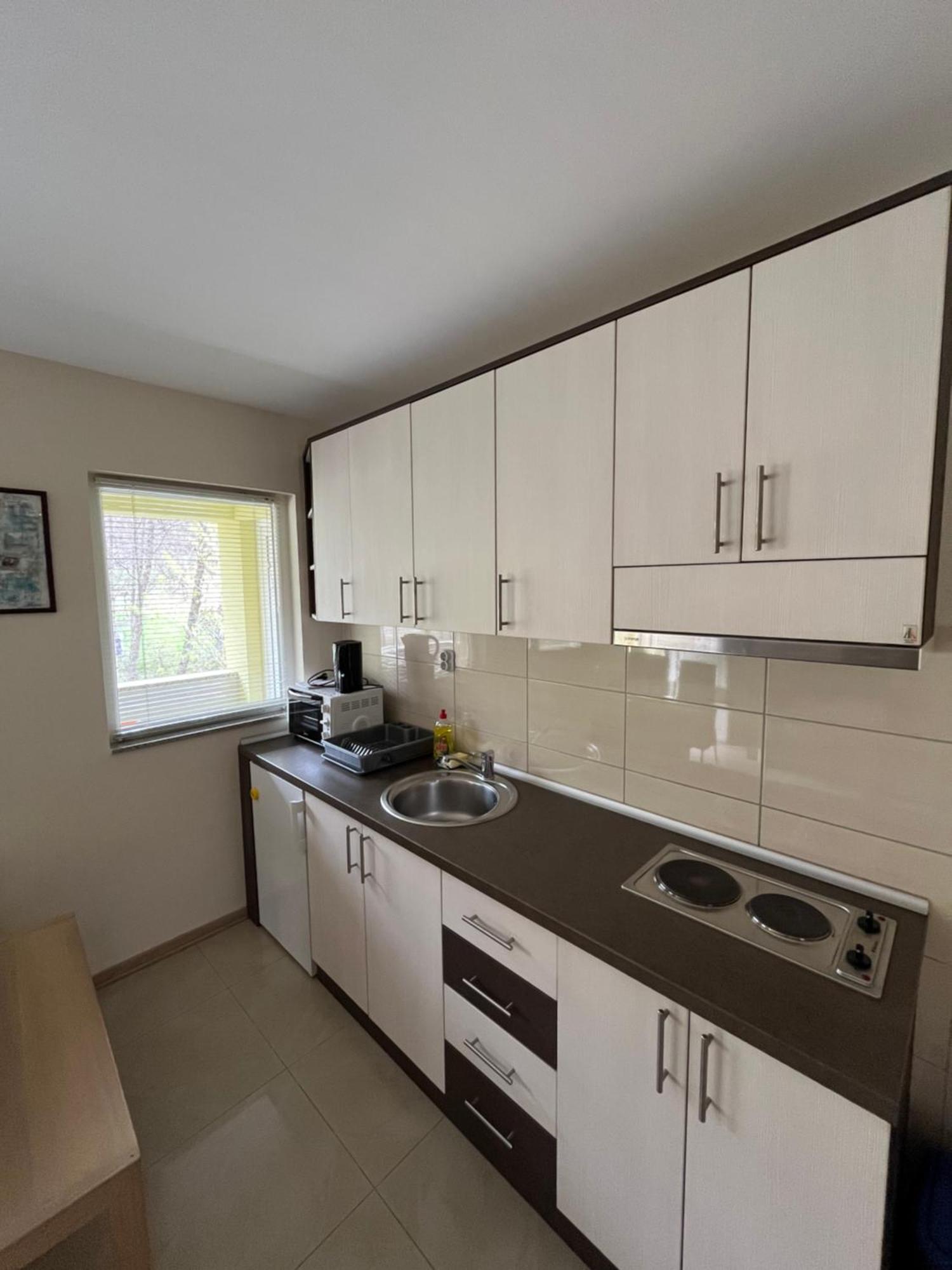 Apartmani Radoicic Josanicka Banja Extérieur photo
